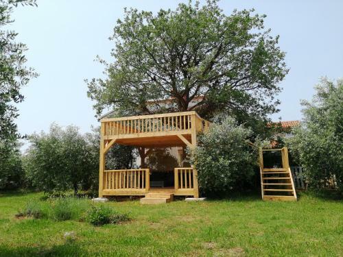 Apartamentos Green House