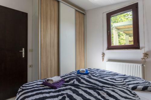 Apartamentos Green House