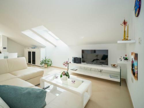 Apartment Branko.1