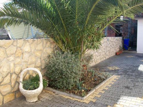 Apartment Biograd Na Moru 11380c