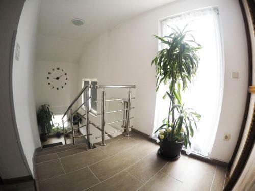 Hostal Guest House Toic