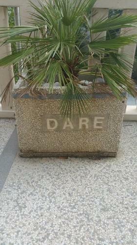 Apartment Dare