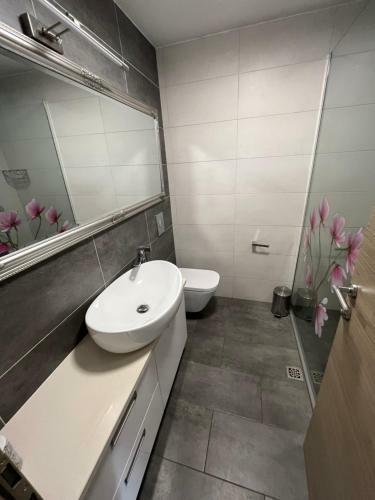 Apartment Old Town Ivo