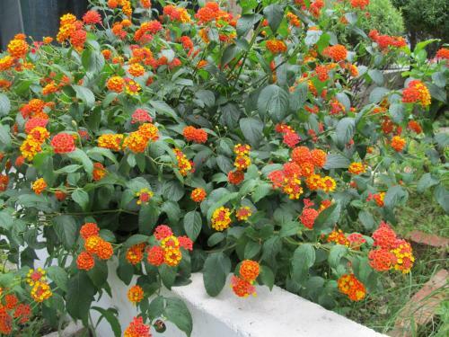 Hostal Guesthouse Trogir Proto