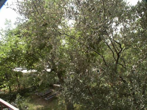 Apartments By The Sea Selce (crikvenica) - 2372