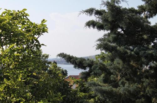 Apartments By The Sea Selce (crikvenica) - 2372