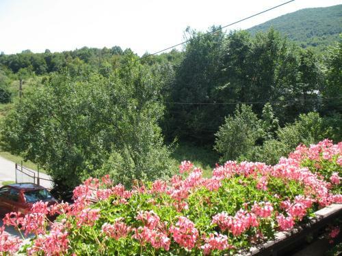 Agroturismo House Zlatko
