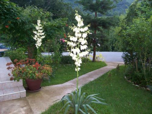 Agroturismo House Zlatko