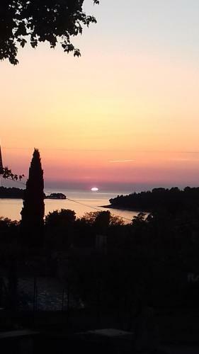 Apartment Ylenia