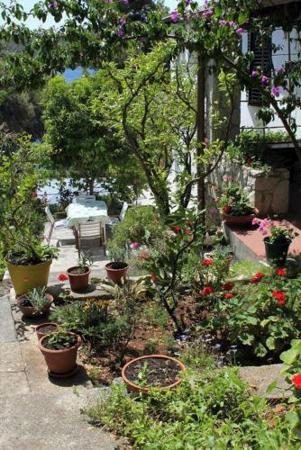 Apartment Mali Losinj 2493b