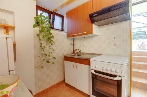 Apartments Franjo