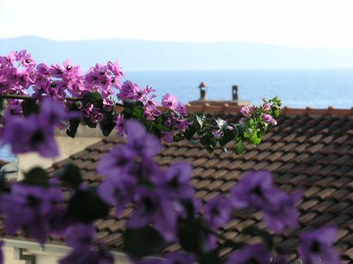 Apartments Dobrila