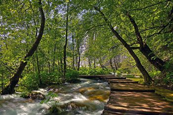 Bed & Breakfast Turist Grabovac