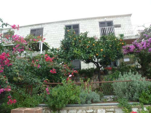 Hostal Guesthouse Ivona