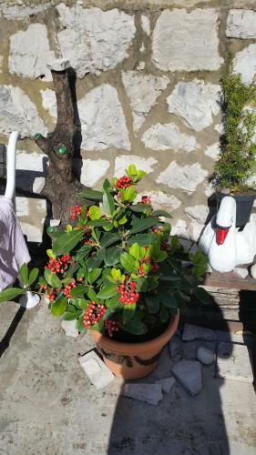 Hostal Guesthouse Ivona