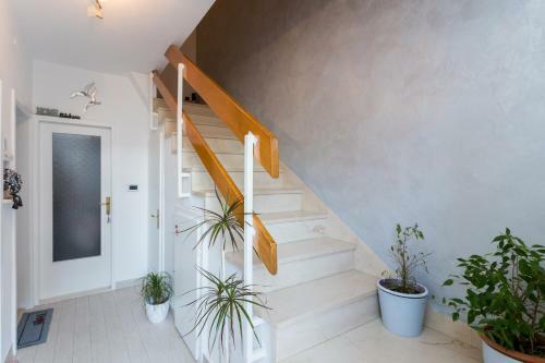 Hostal Guesthouse Ivona