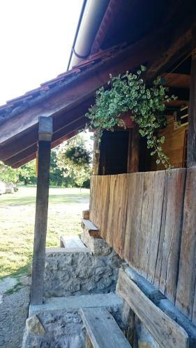 Hostal Rustic Home Mia