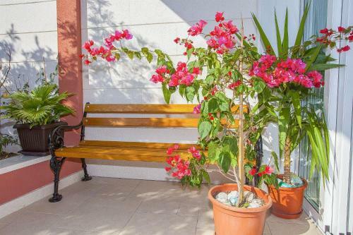 Hostal Apartments Kunac