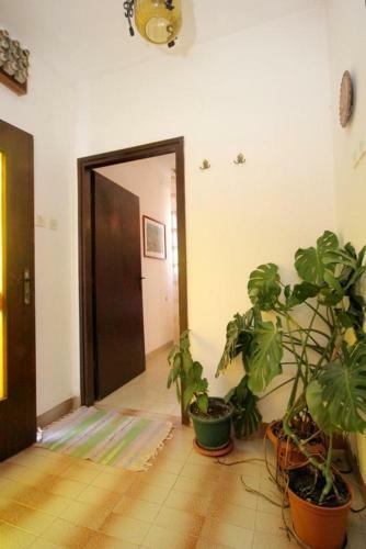 Apartment Vis 8885b