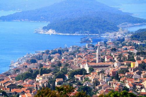 Apartamentos Studio Mali Losinj 7953b