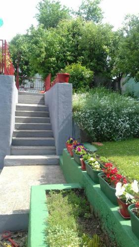 Hostal Guest House Olbina