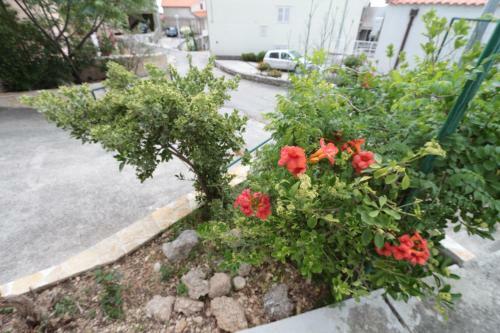Apartments Antoneta
