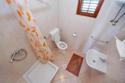 Apartment Bibinje 4197b