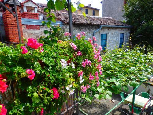 Apartment Rovinj Old Town Joy