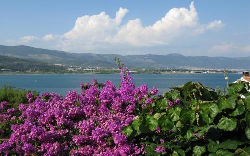 Apartment In Trogir 7365