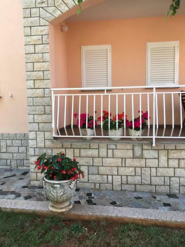 Apartamentos House Mari?