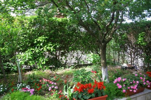 Apartment Baska Voda 2678a
