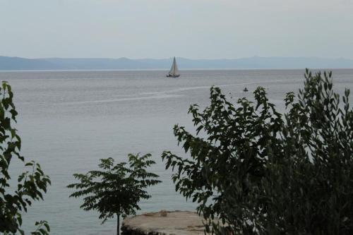 Apartment Podgora 6670a