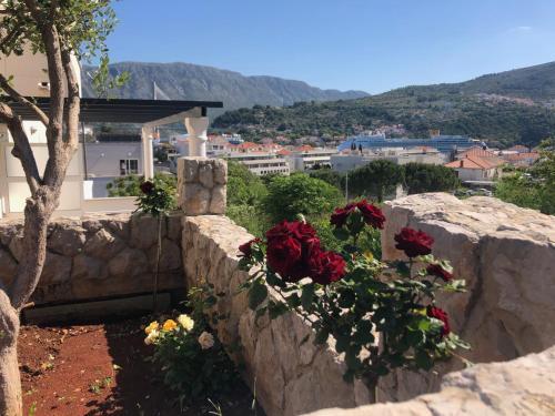 Apartments Adriatic Blue