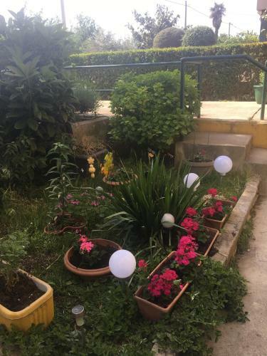 Apartment Mirana