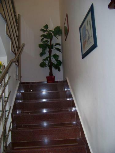 Apartments Bozikovic