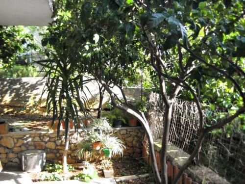 Apartment Seget Vranjica 4883a