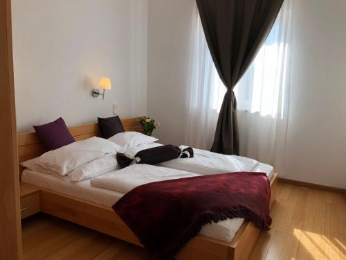 Viktoria Lodge Bed And Breakfast