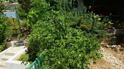 Apartment Hrabar Longo