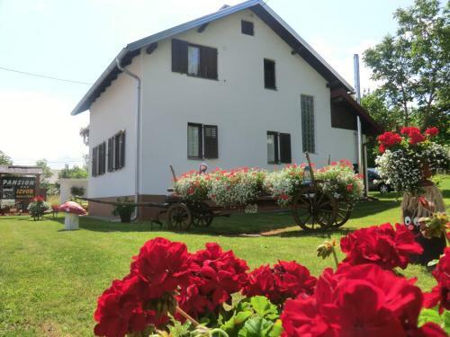 Hostal Pansion Izvor