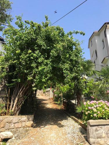 Apartamento Villa Veronika