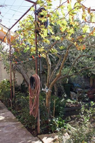 Apartment Biograd Na Moru 5845a
