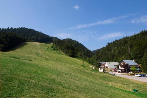Hotel Auberge Du Furon