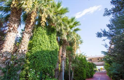 Alkyon Resort Hotel