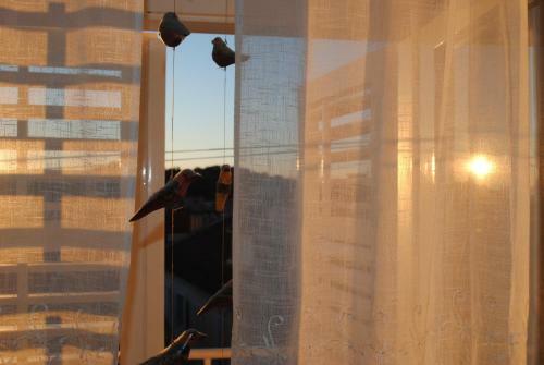 Apartment Optimist