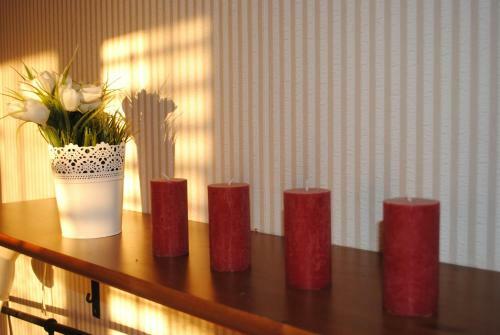 Apartment Optimist
