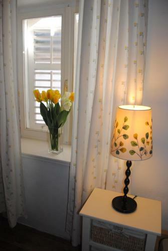 Apartment Optimist