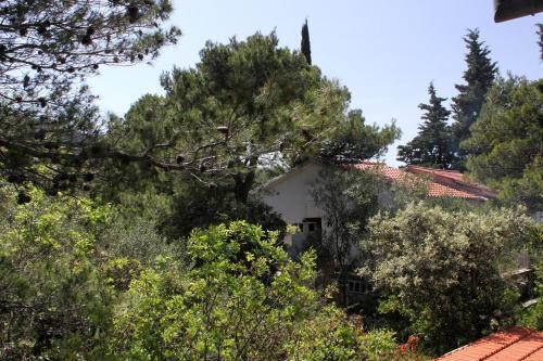 Apartment Stari Grad 8762a