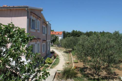 Apartment Novalja 6490c