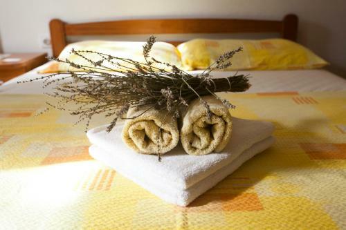 Apartments Pinus