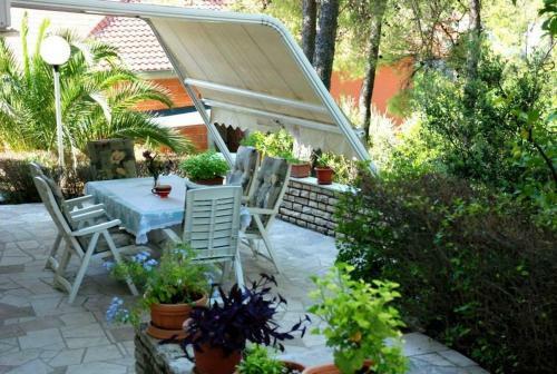 Hostal Guest House Alek